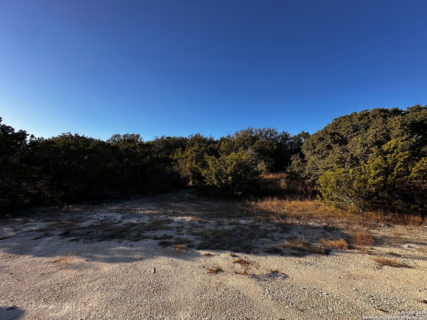 628 Indian Trail Spring Branch, TX 78070 - Photo 10 of 13 a view of a yard