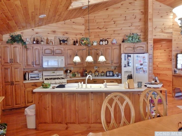 353 Old Tyler Road Cornwallville, NY 12418 - Photo 9 of 10 Photo 9
