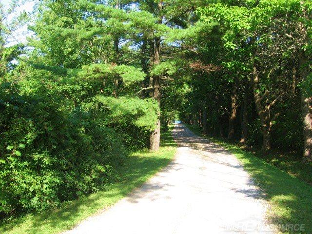 6727 Lakeshore Road Lexington, MI 48450 - Photo 87 of 91 Private Shared Driveway