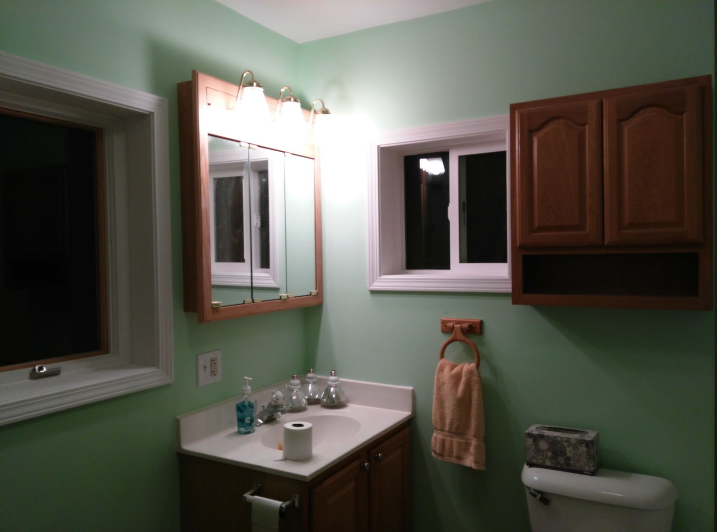 26958 North Ellen Street Wauconda, IL 60084 - Photo 7 of 10 a bathroom with a sink and a mirror
