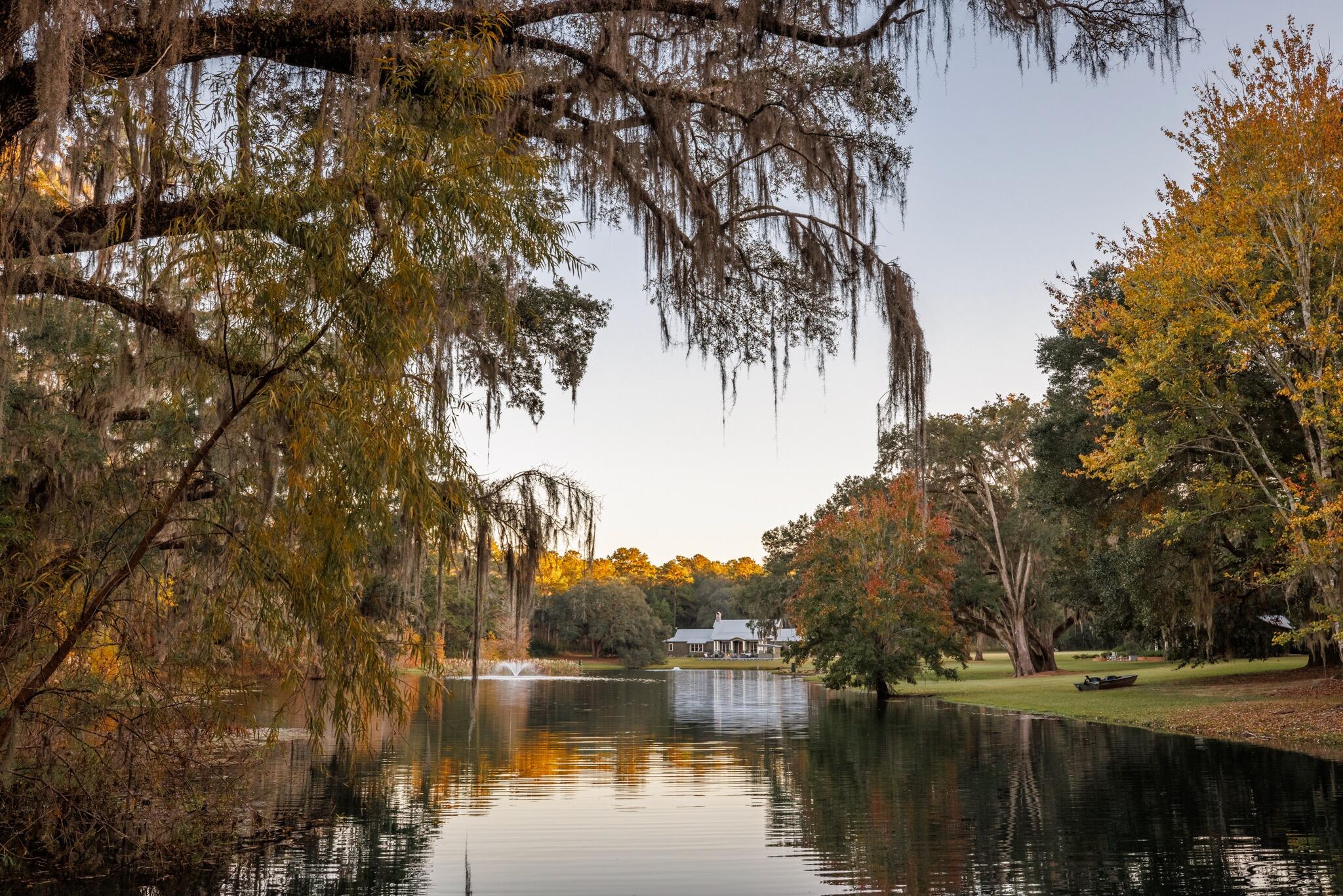 OverviewGallery(TOMA)- - 1