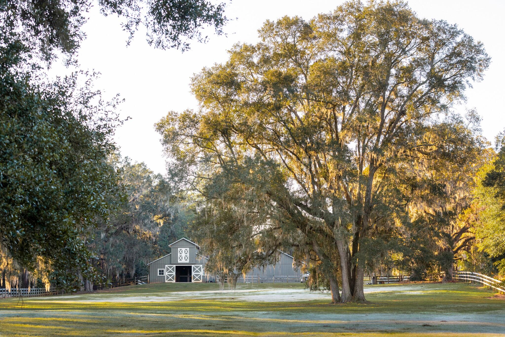 9700 Old Magnolia Road Tallahassee, FL 32309 - Photo 11 of 89 OverviewGallery(TOMA)- - 12