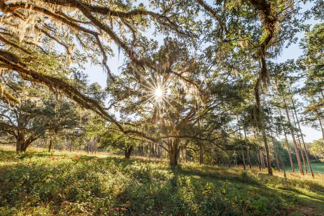 $7,250,000 | 9700 Old Magnolia Road, Tallahassee, FL 32309