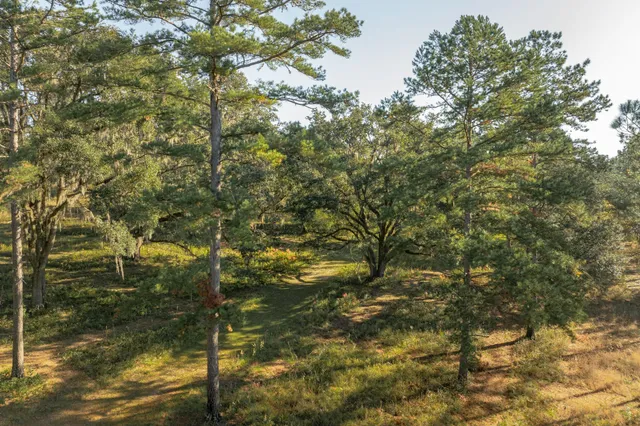 $7,250,000 | 9700 Old Magnolia Road, Tallahassee, FL 32309