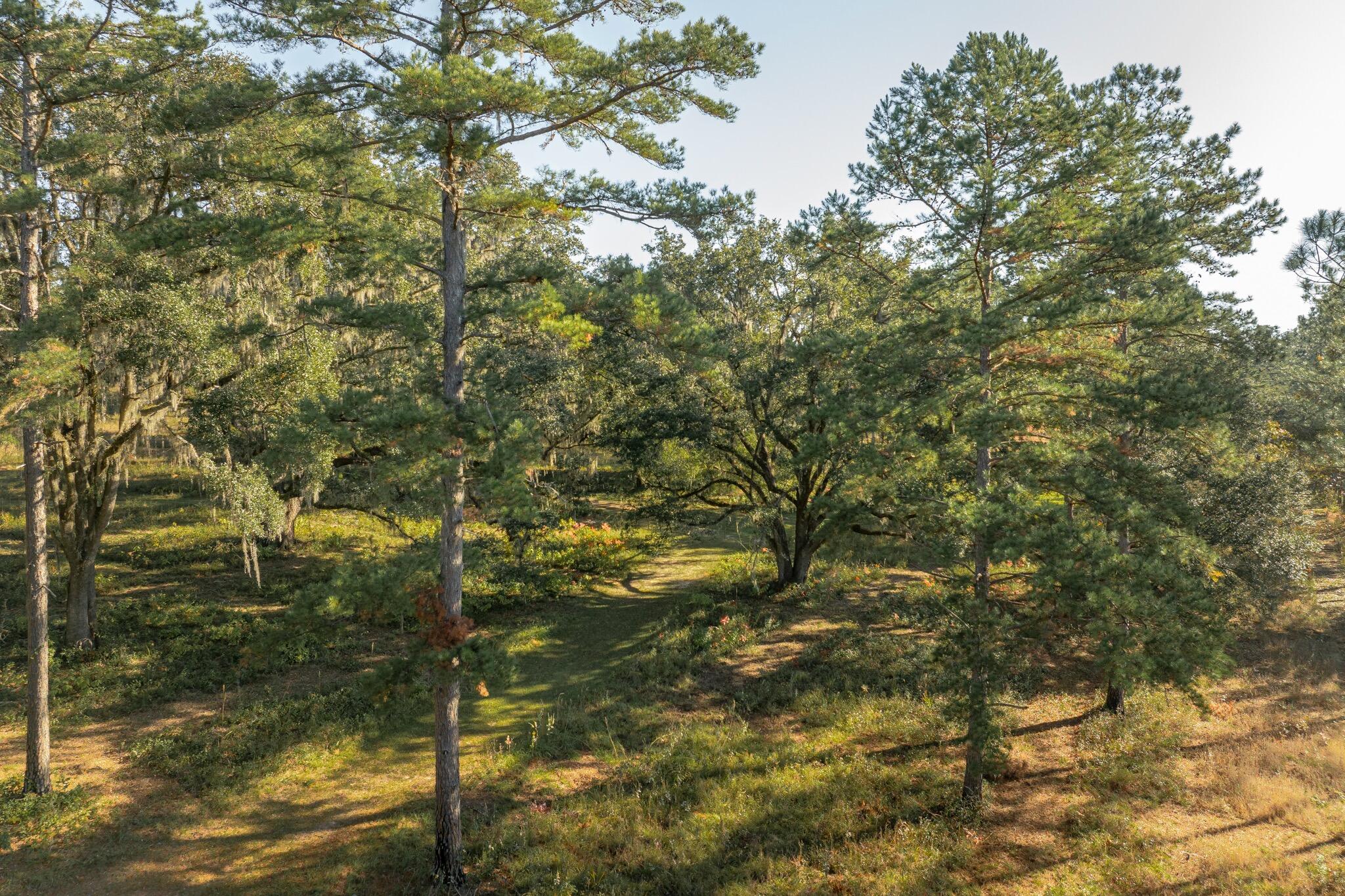 9700 Old Magnolia Road Tallahassee, FL 32309 - Photo 14 of 89 OverviewGallery(TOMA)- - 15