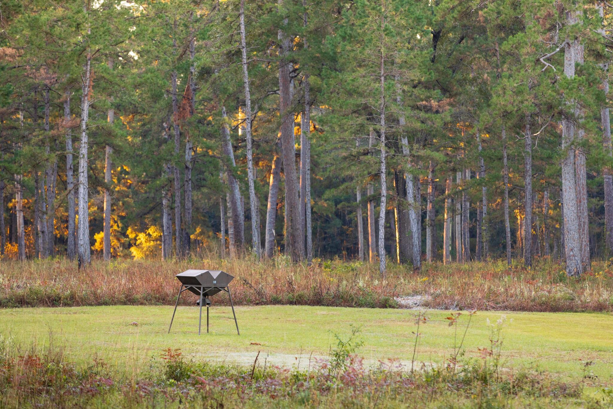 9700 Old Magnolia Road Tallahassee, FL 32309 - Photo 16 of 89 OverviewGallery(TOMA)- - 17