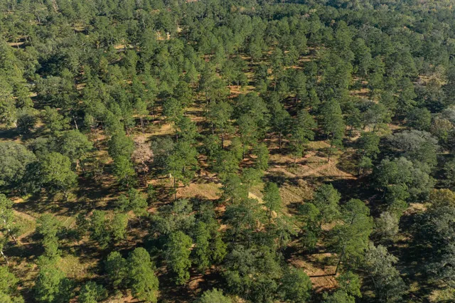 $7,250,000 | 9700 Old Magnolia Road, Tallahassee, FL 32309