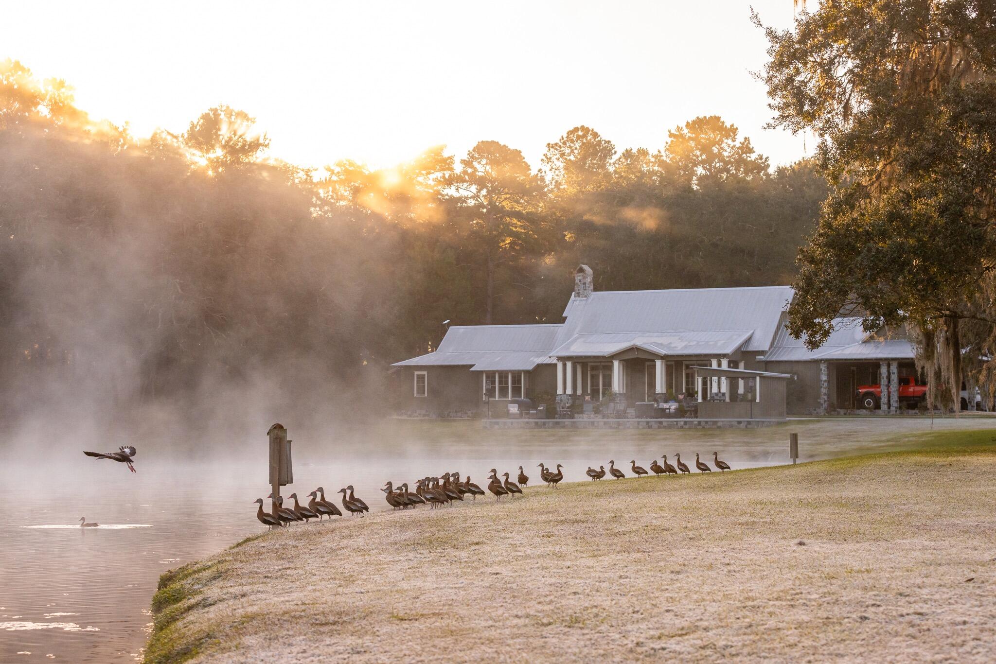 9700 Old Magnolia Road Tallahassee, FL 32309 - Photo 19 of 89 OverviewGallery(TOMA)- - 20