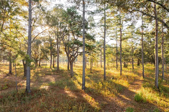 $7,250,000 | 9700 Old Magnolia Road, Tallahassee, FL 32309