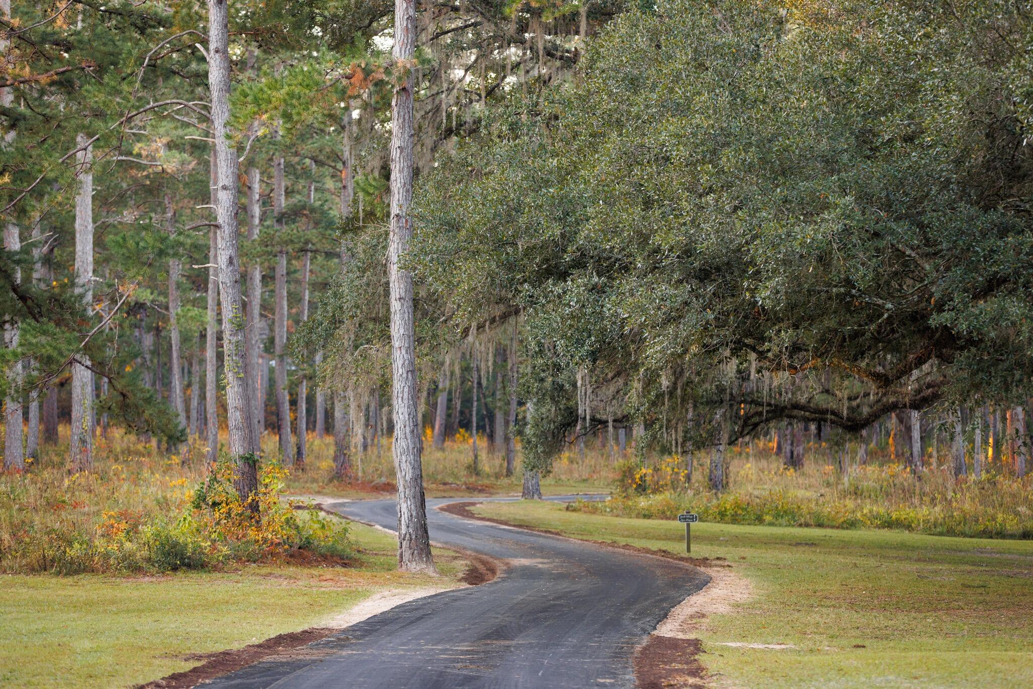 9700 Old Magnolia Road Tallahassee, FL 32309 - Photo 25 of 89 OverviewGallery(TOMA)- - 26