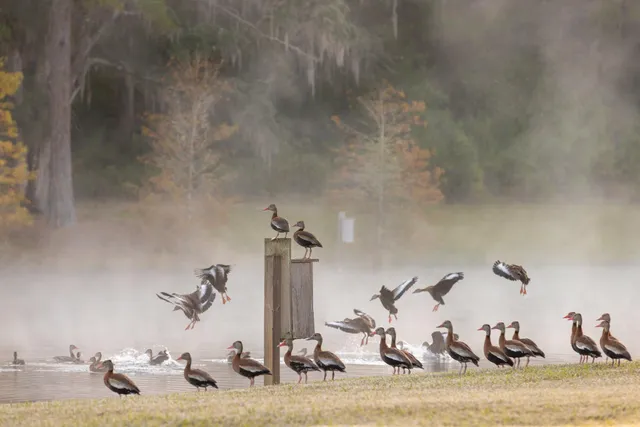 $7,250,000 | 9700 Old Magnolia Road, Tallahassee, FL 32309