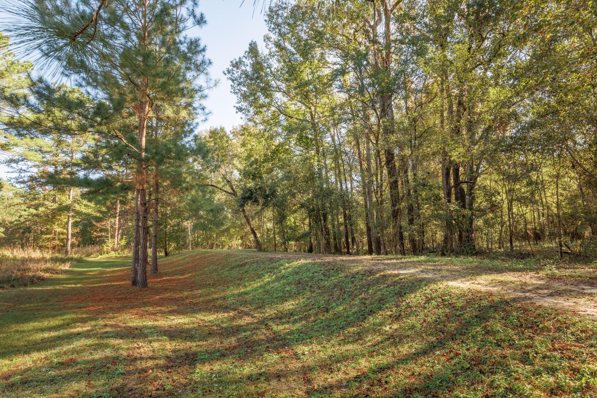 9700 Old Magnolia Road Tallahassee, FL 32309 - Photo 54 of 89 OverviewGallery(TOMA)- - 56