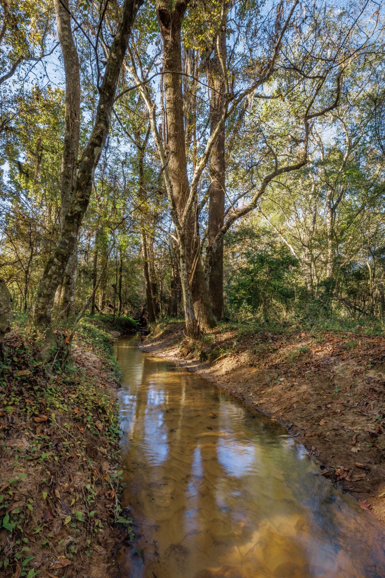 9700 Old Magnolia Road Tallahassee, FL 32309 - Photo 55 of 89 OverviewGallery(TOMA)- - 57