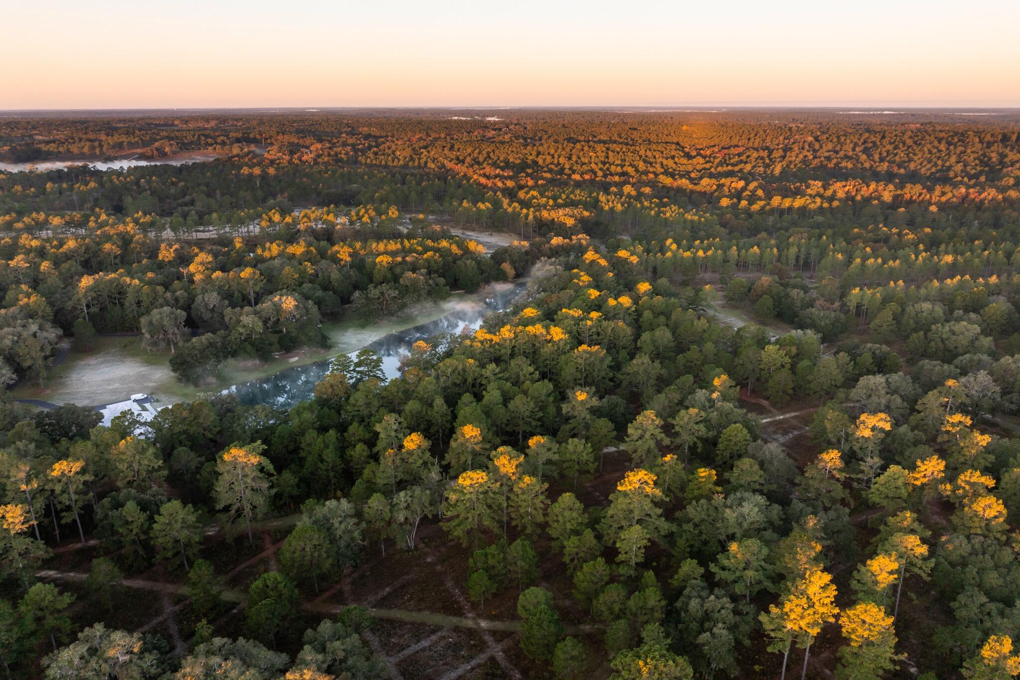 9700 Old Magnolia Road Tallahassee, FL 32309 - Photo 66 of 89 OverviewGallery(TOMA)- - 68