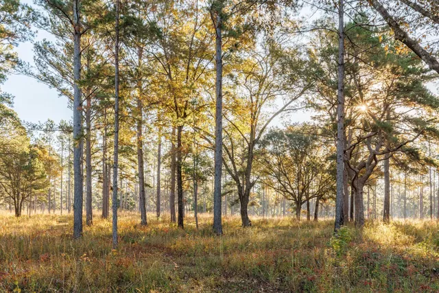 $7,250,000 | 9700 Old Magnolia Road, Tallahassee, FL 32309