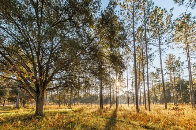 $7,250,000 | 9700 Old Magnolia Road, Tallahassee, FL 32309