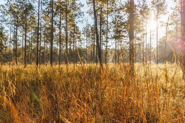 $7,250,000 | 9700 Old Magnolia Road, Tallahassee, FL 32309