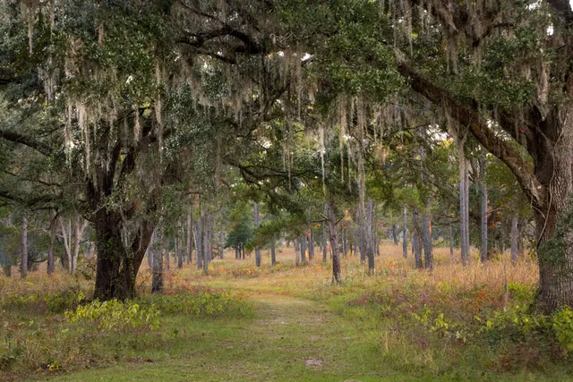 $7,250,000 | 9700 Old Magnolia Road, Tallahassee, FL 32309