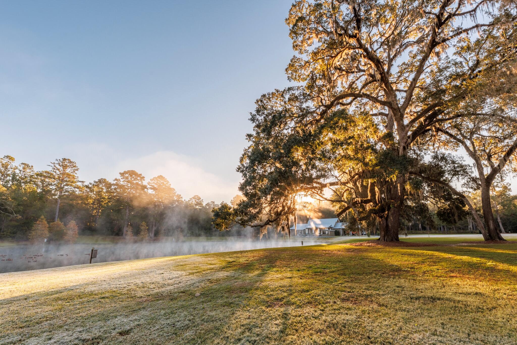 9700 Old Magnolia Road Tallahassee, FL 32309 - Photo 79 of 89 OverviewGallery(TOMA)- - 85