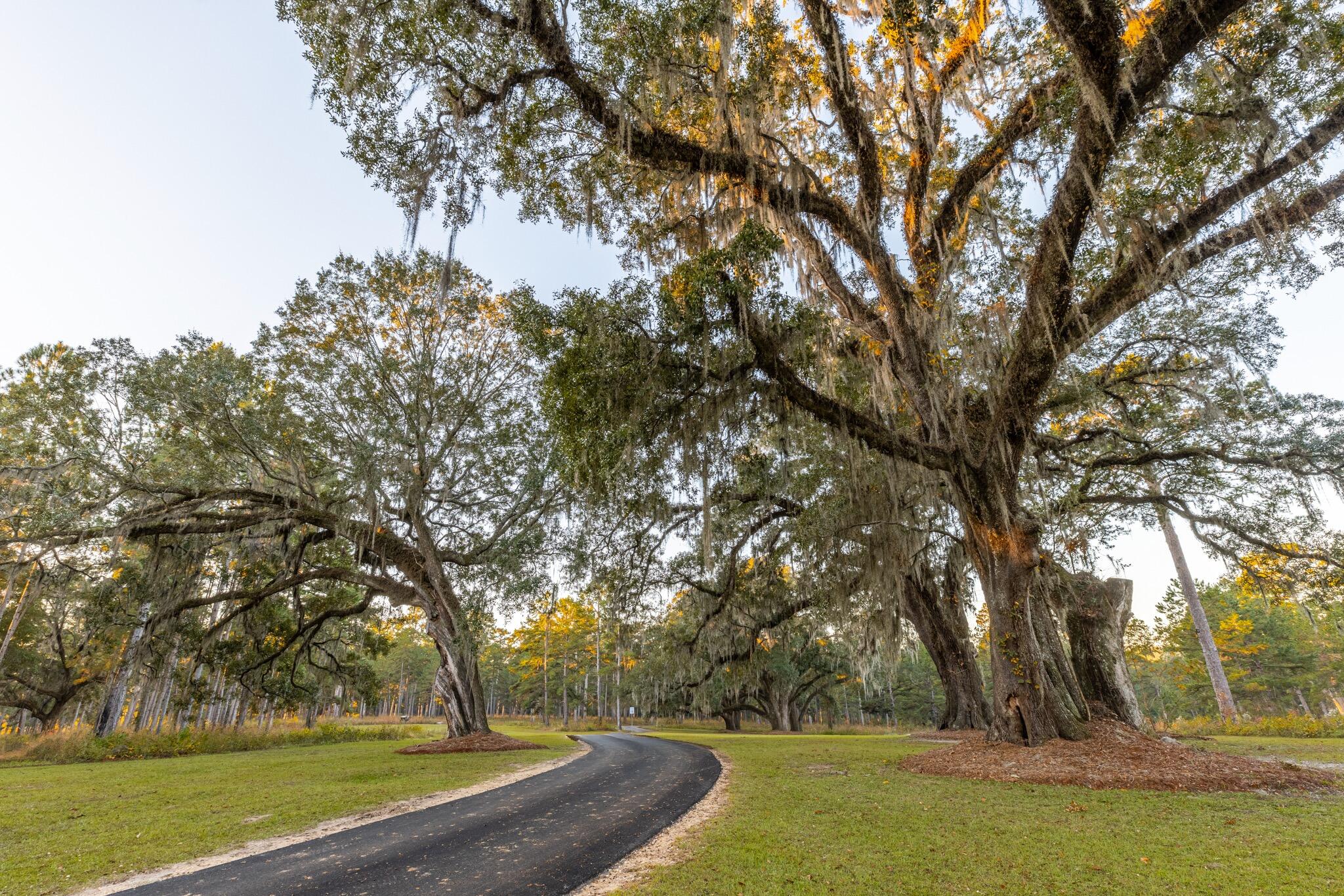 9700 Old Magnolia Road Tallahassee, FL 32309 - Photo 83 of 89 OverviewGallery(TOMA)- - 91