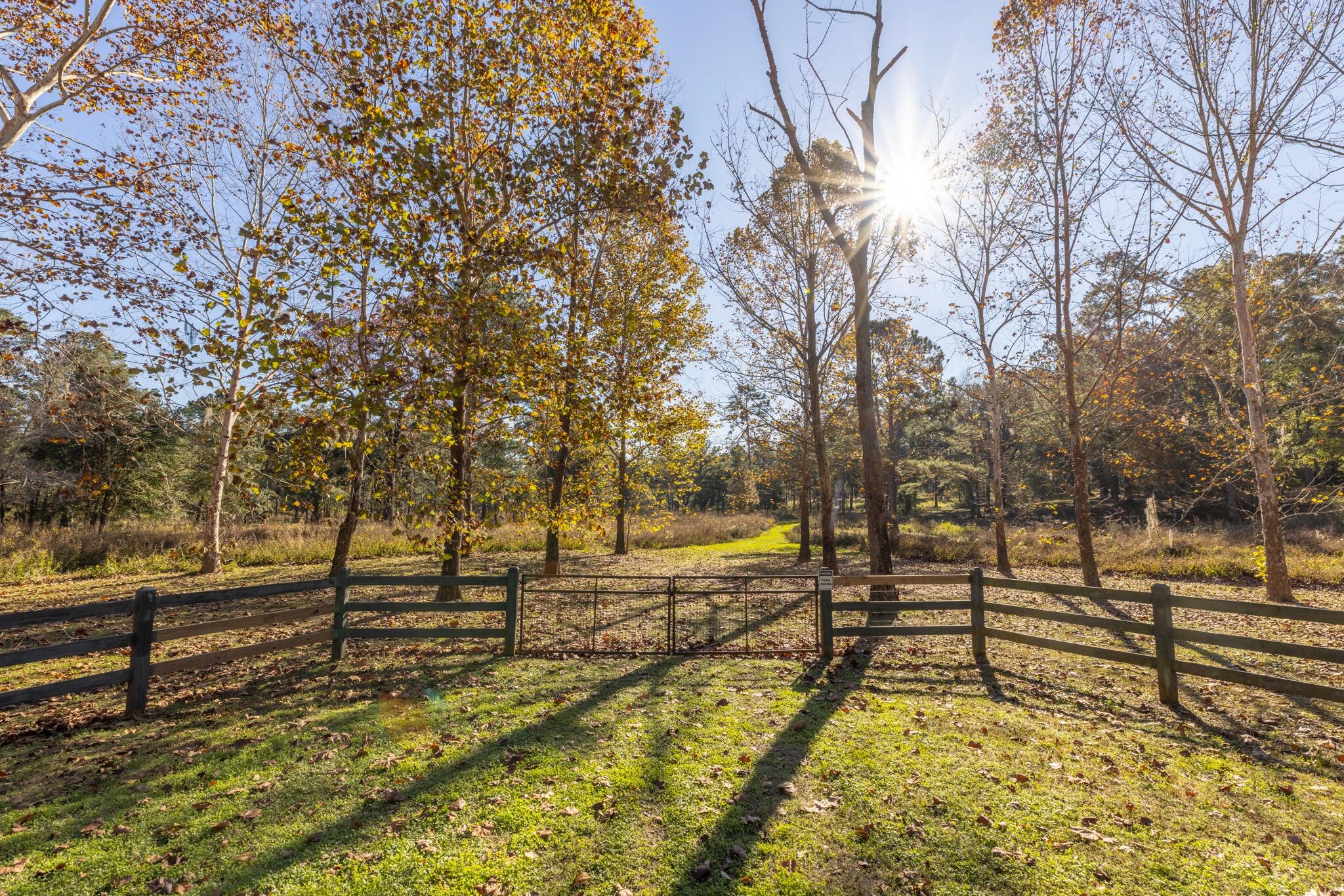 9700 Old Magnolia Road Tallahassee, FL 32309 - Photo 85 of 89 OverviewGallery(TOMA)- - 93