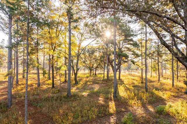 $7,250,000 | 9700 Old Magnolia Road, Tallahassee, FL 32309