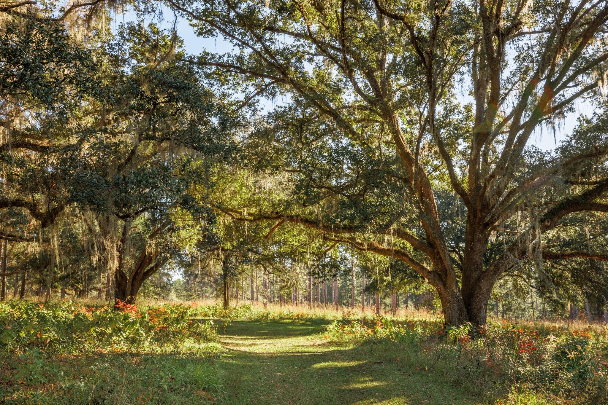 9700 Old Magnolia Road Tallahassee, FL 32309 - Photo 87 of 89 OverviewGallery(TOMA)- - 96