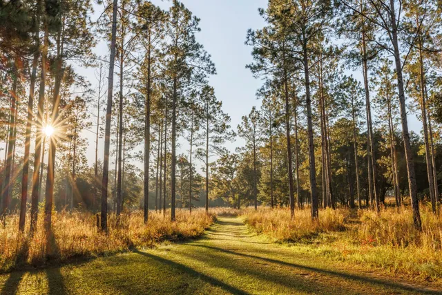 $7,250,000 | 9700 Old Magnolia Road, Tallahassee, FL 32309