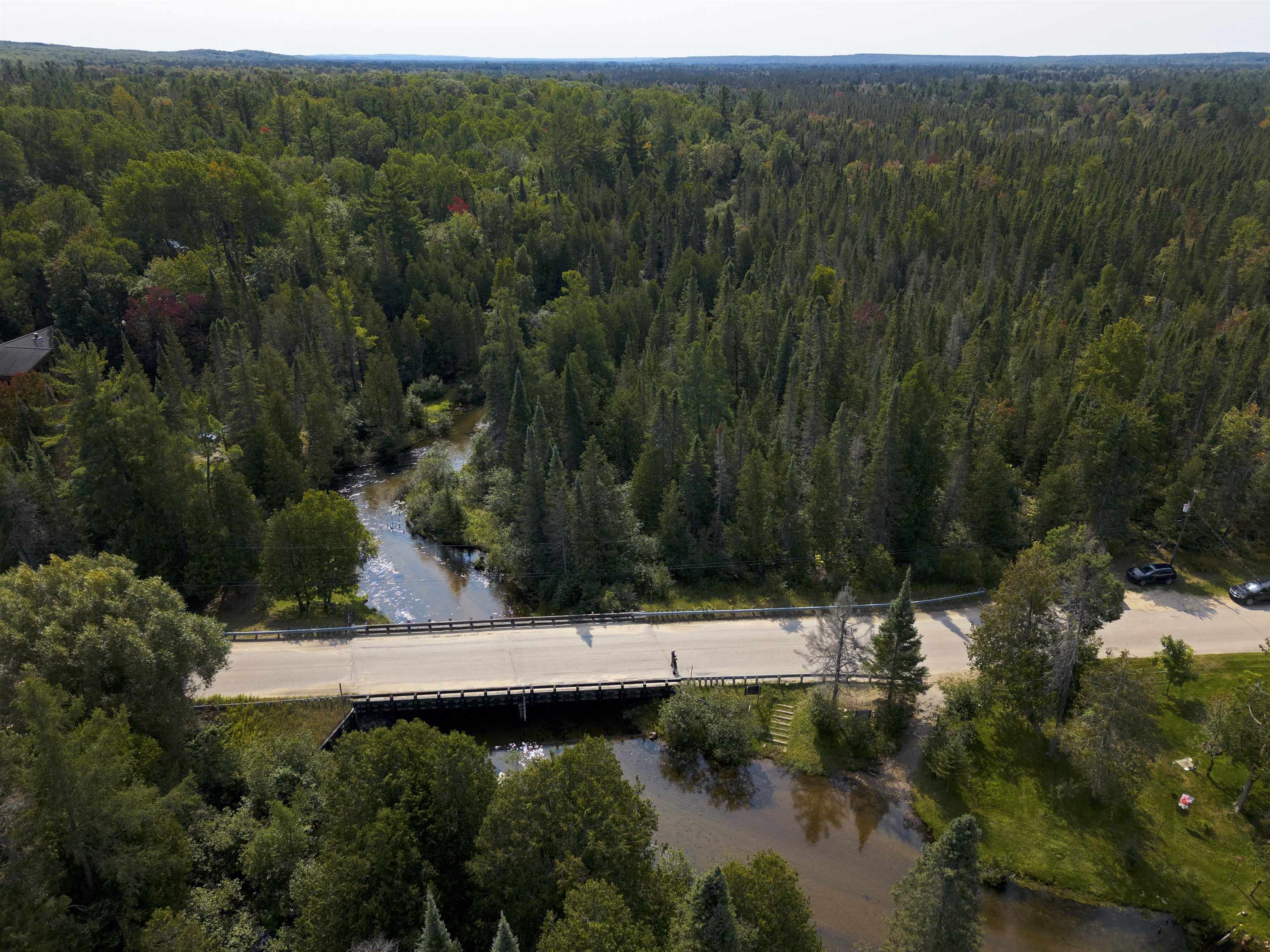 Cameron Bridge Road Frederic, MI 49733 - Photo 20 of 63