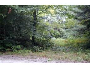 0 Reeds Farm Road Newport, NH 03773 - Photo 2 of 2