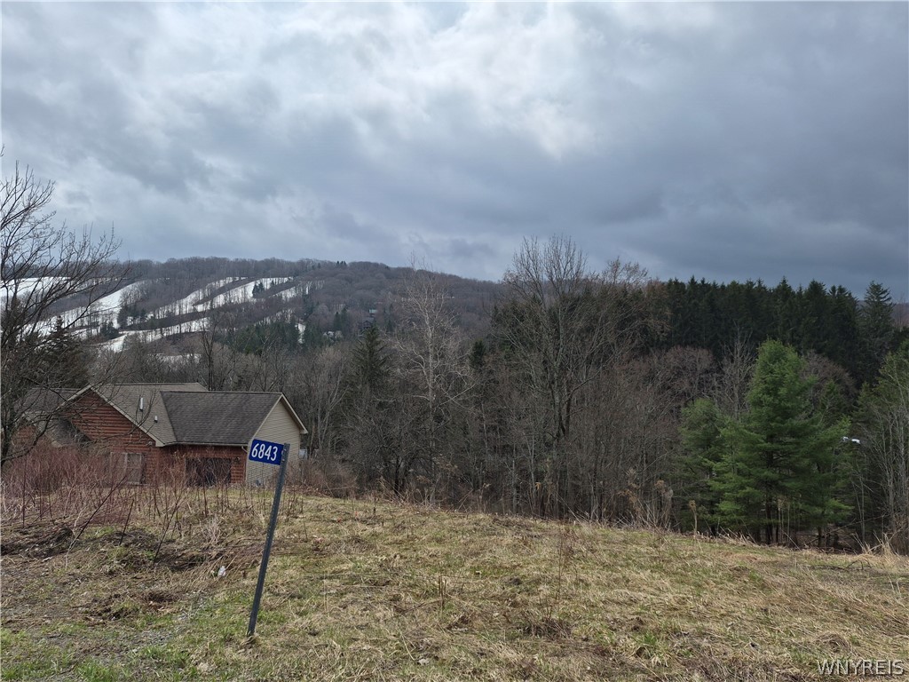 6843 Springs Road Ellicottville, NY 14731 - Photo 2 of 7