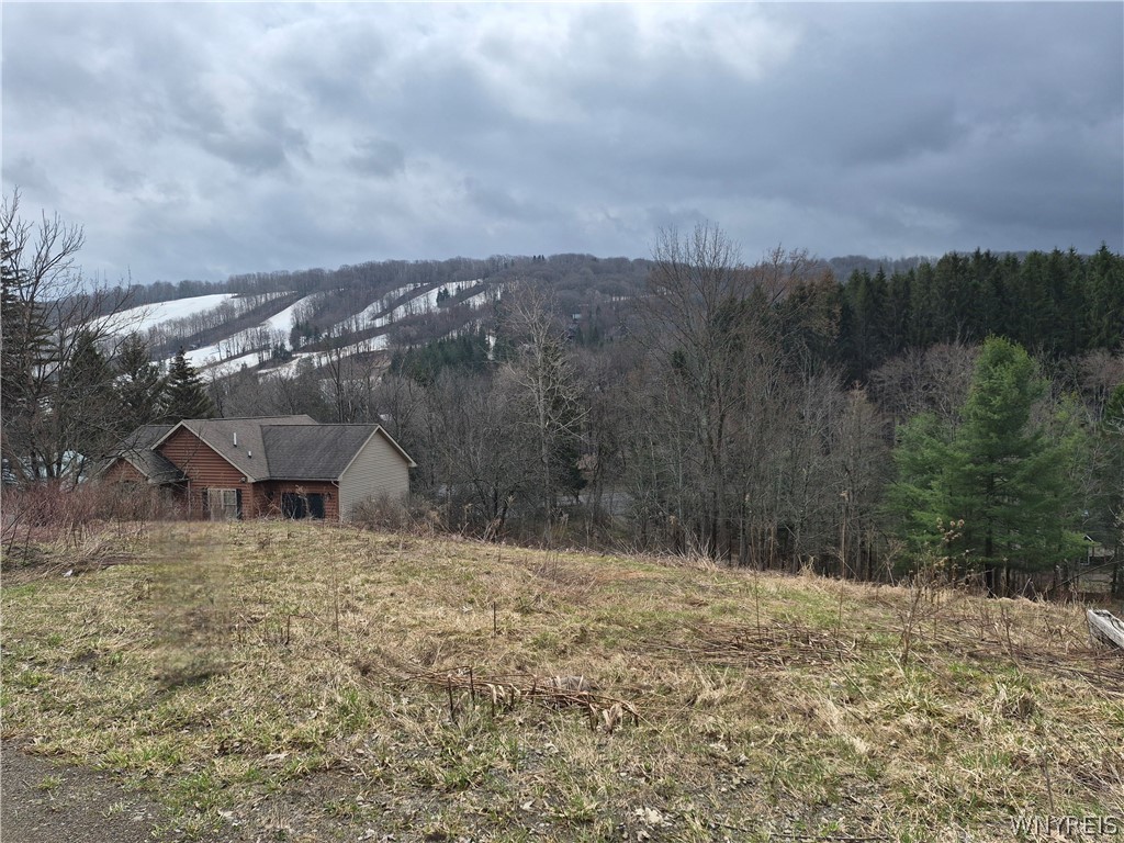 6843 Springs Road Ellicottville, NY 14731 - Photo 3 of 7