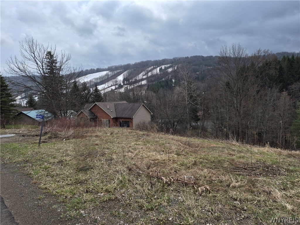 6843 Springs Road Ellicottville, NY 14731 - Photo 4 of 7
