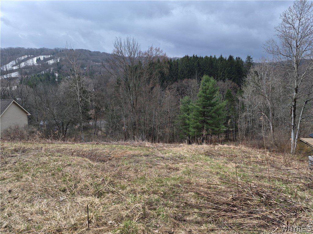 6843 Springs Road Ellicottville, NY 14731 - Photo 5 of 7