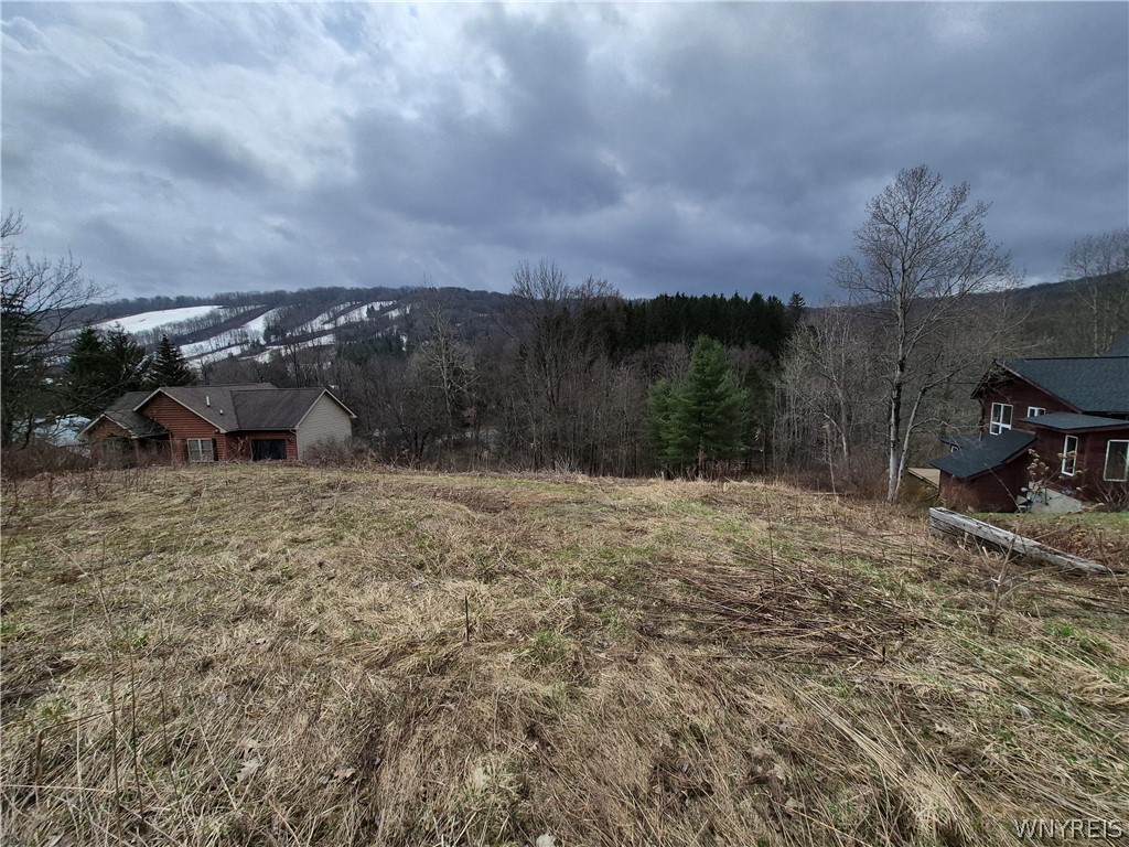 6843 Springs Road Ellicottville, NY 14731 - Photo 6 of 7