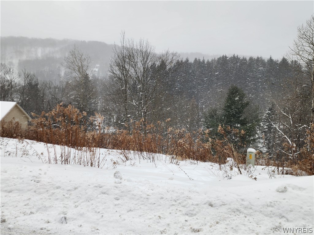 6843 Springs Road Ellicottville, NY 14731 - Photo 7 of 7