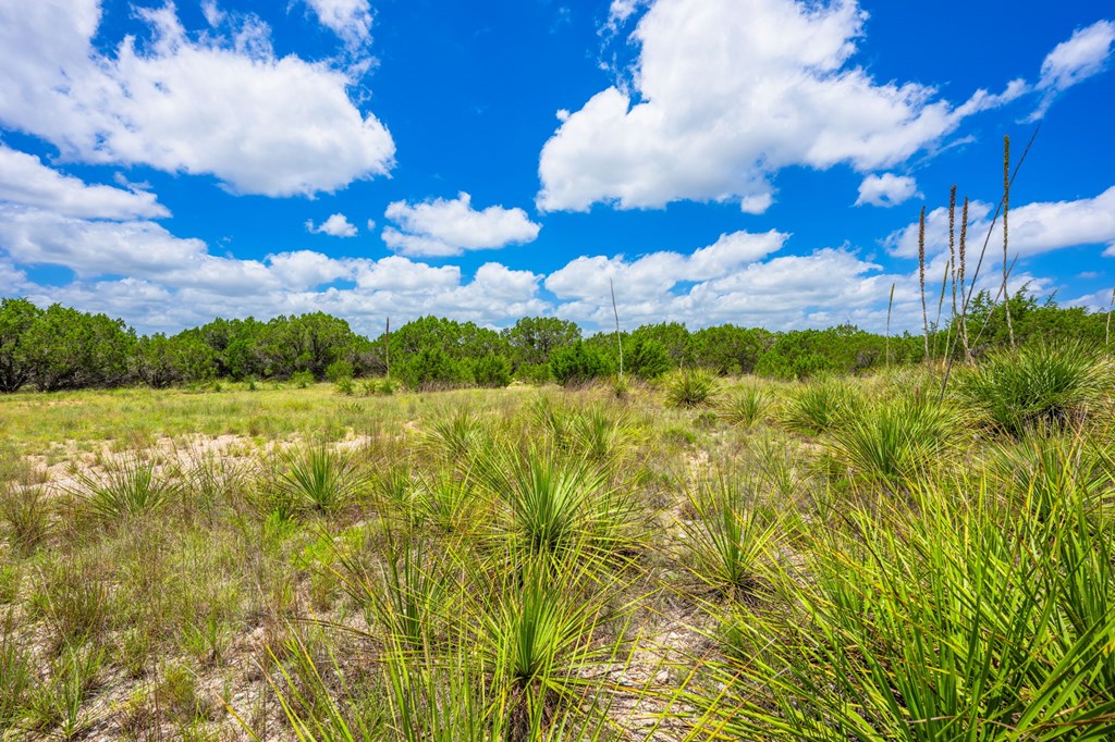 4568 Fm 2828 Bandera, TX 78003 - Photo 4 of 17