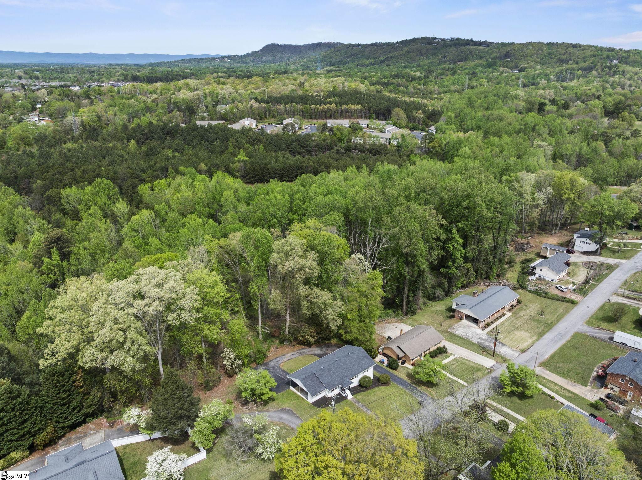 1041 East Perry Road Greenville, SC 29609 - Photo 20 of 20