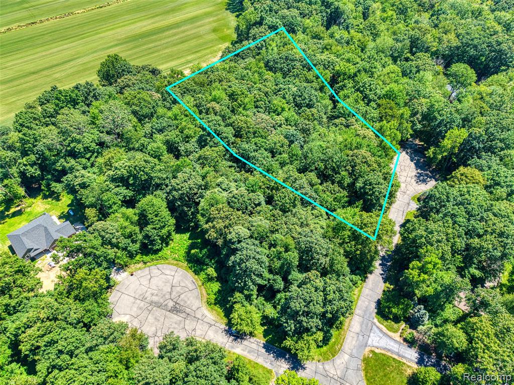 5663 Iosco Mountain Road Gregory, MI 48137 - Photo 2 of 13