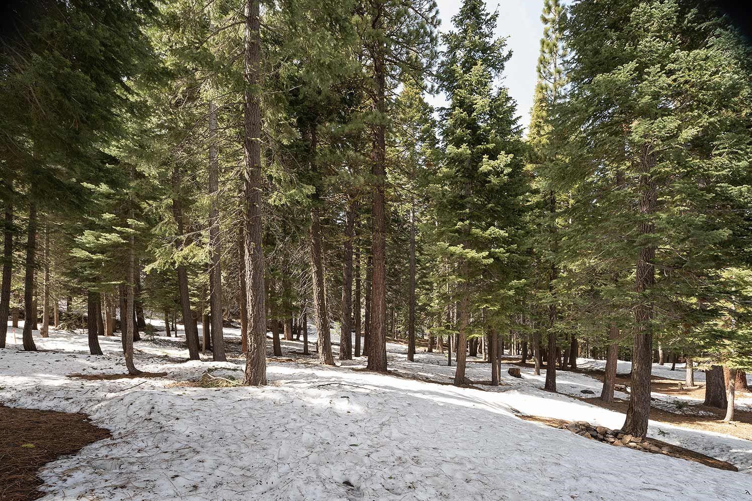 11812 Chamonix Road Truckee, CA 96161 - Photo 15 of 21 Gallery Image 15