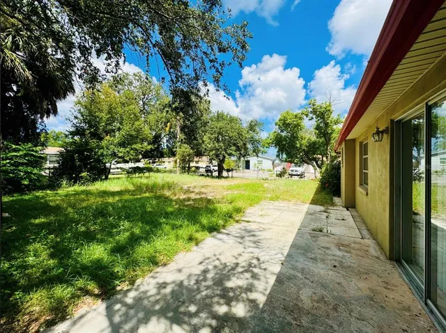 a view of a yard with plants and large trees
