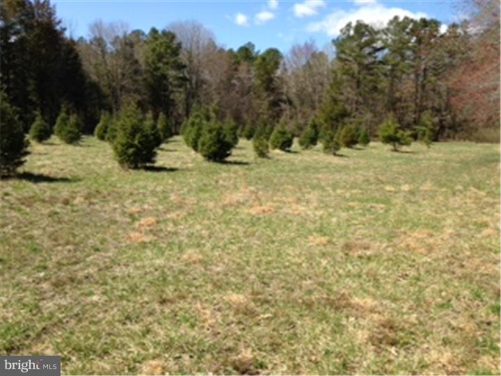 752 Upper Neck Road Pittsgrove, NJ 08318 - Photo 24 of 25 View