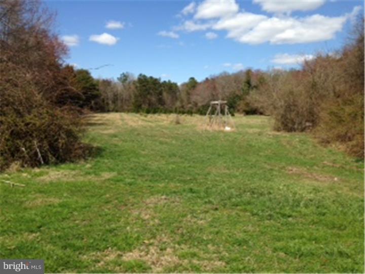 752 Upper Neck Road Pittsgrove, NJ 08318 - Photo 5 of 25 Back Yard