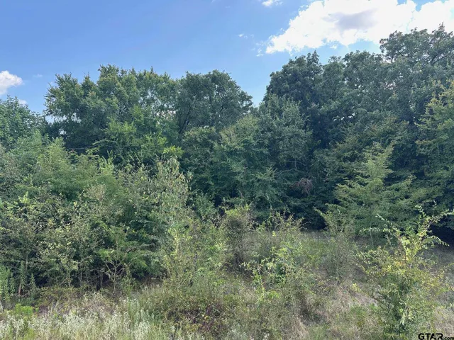 a view of a lush green forest with lots of trees
