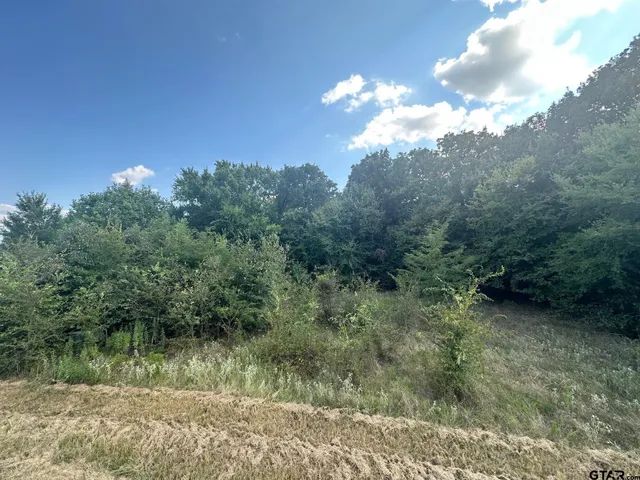 a view of a yard with a trees in the background