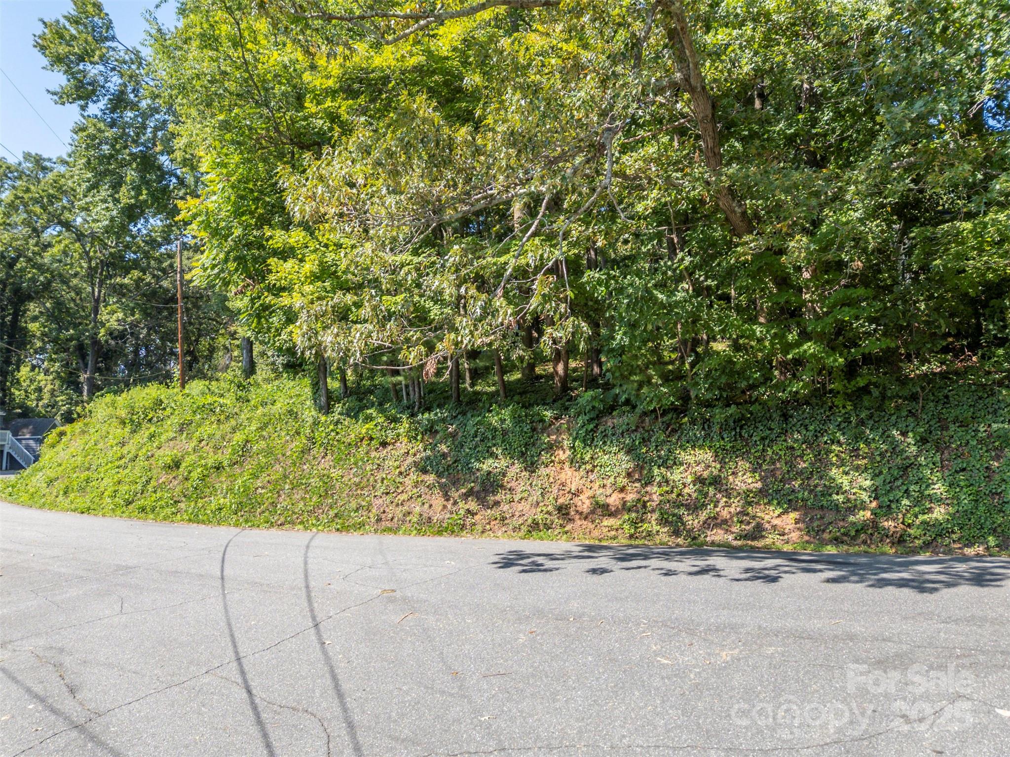 0 Hillside Court Tryon, NC 28782 - Photo 11 of 13 front view of a house with a yard and plant