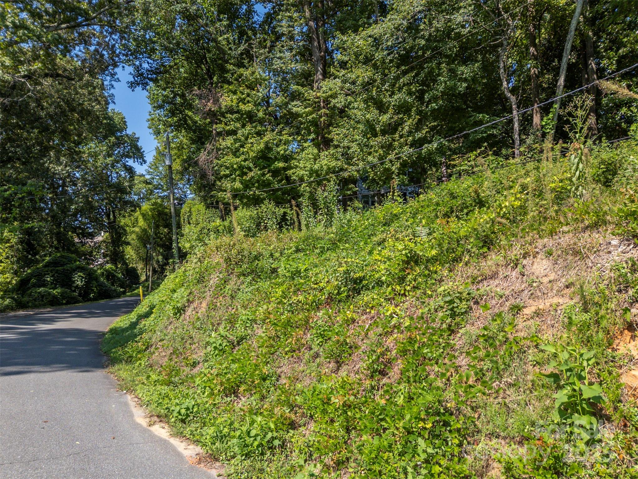0 Hillside Court Tryon, NC 28782 - Photo 12 of 13 a view of a garden