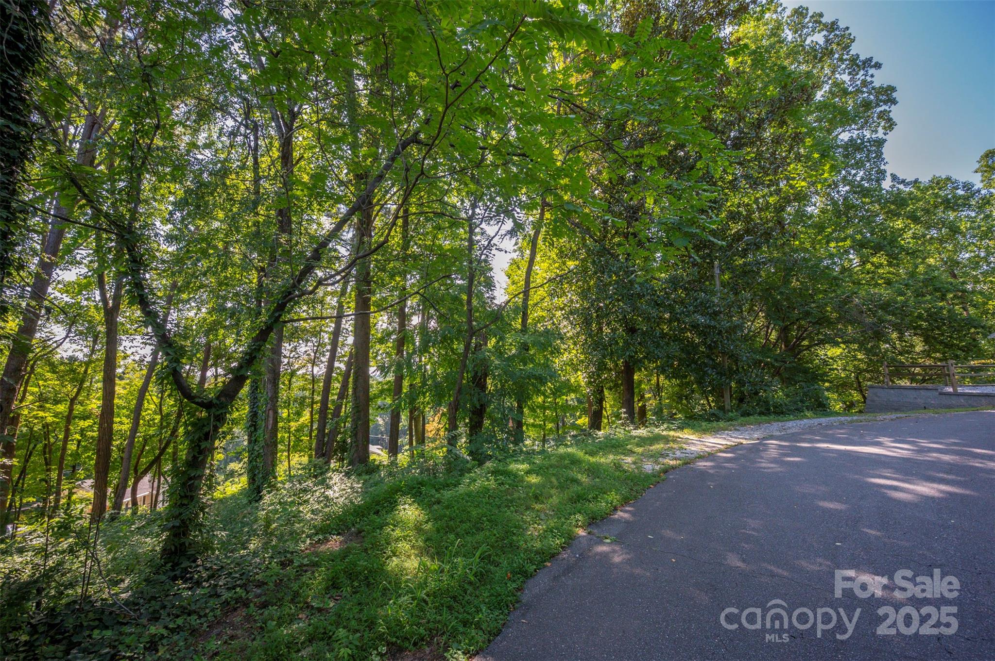 0 Hillside Court Tryon, NC 28782 - Photo 2 of 13 a view of a street with a trees