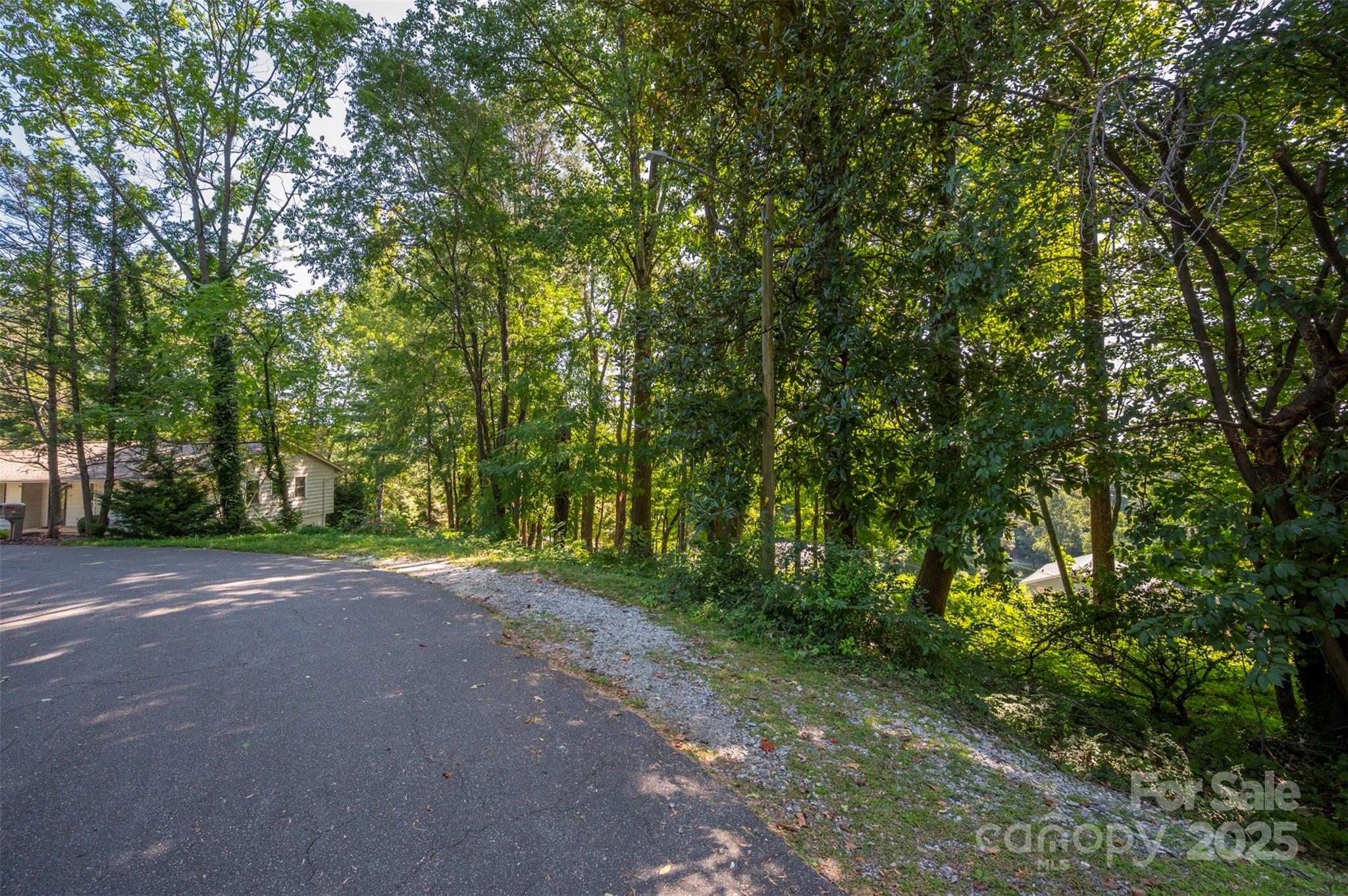 0 Hillside Court Tryon, NC 28782 - Photo 4 of 13 a view of a yard with large trees