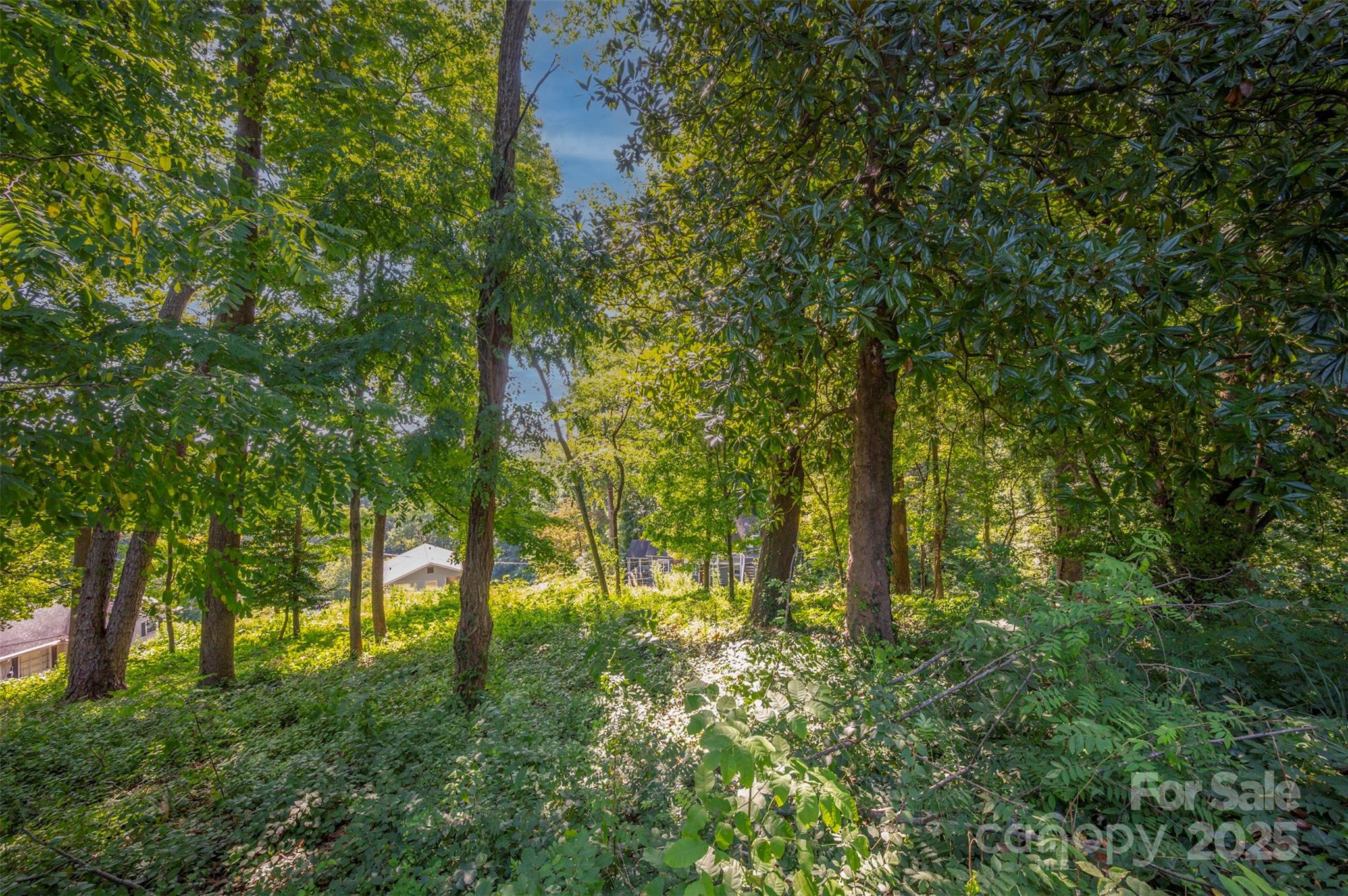 0 Hillside Court Tryon, NC 28782 - Photo 5 of 13 a view of yard